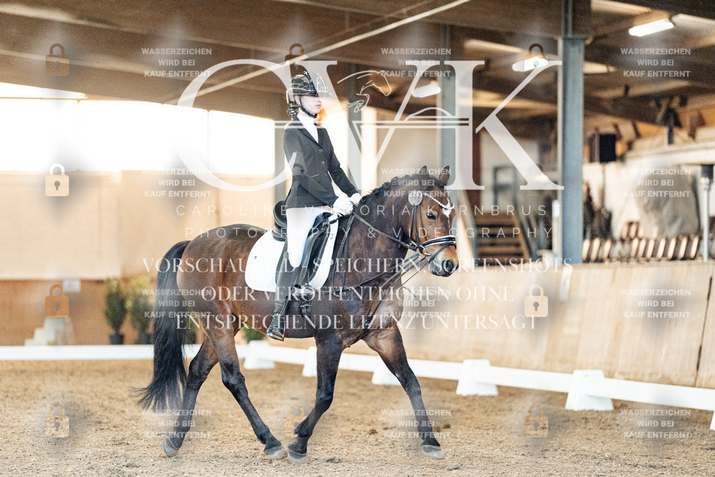 CK906574 | Turnierfotografie Pferdefotografie Trier Rheinland-Pfalz Pferdesport Reitsport Tierfotografie Sportfotografie Pferdevideo Pferdevideografie Equestrianvideography equestrianphotography  - Realisiert mit Pictrs.com