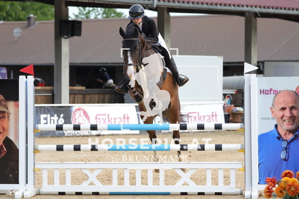 0P6A5907 | Willkommen bei Brunnmayr - Design & Fotografie – Ihrem Spezialisten für Reitturniere und Pferdeveranstaltungen in Oberösterreich, Salzburg und Bayern! Seit über 17 Jahren sind wir leidenschaftlich dabei.