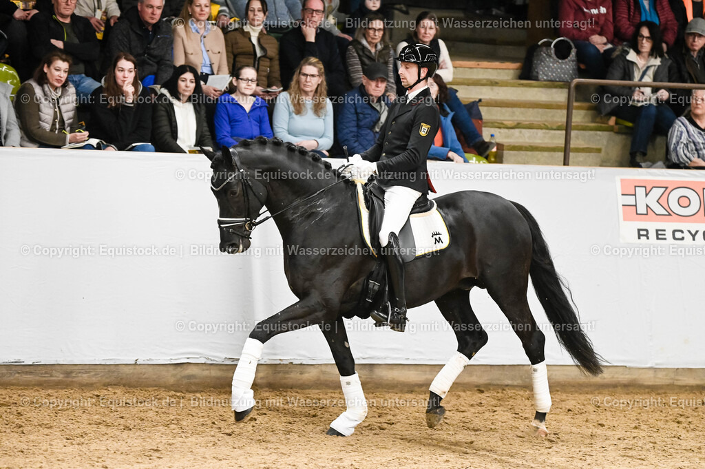 20260307_Hengstvorstellung-Marbach_0255 | equistock