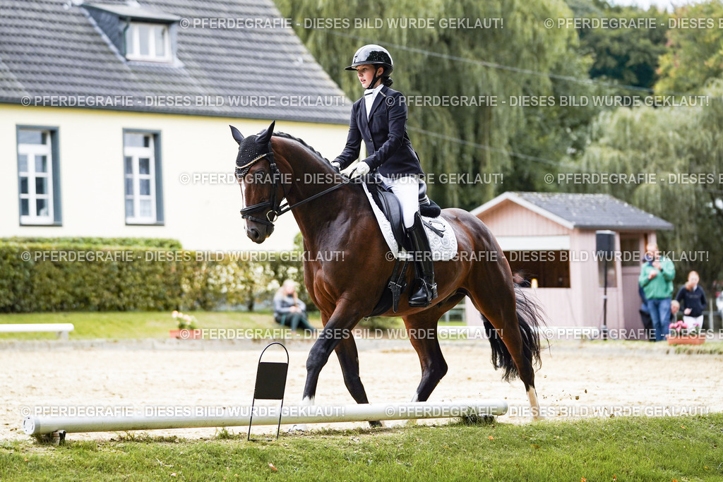 DSC07831 | Pferdegrafie