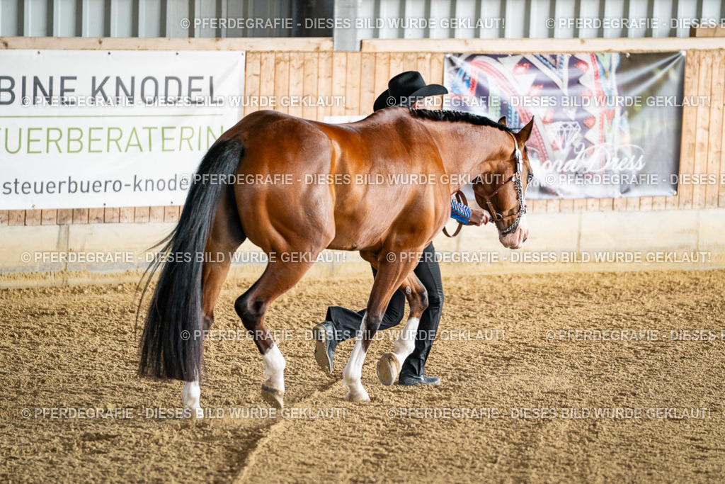 DSC07419 | Pferdegrafie