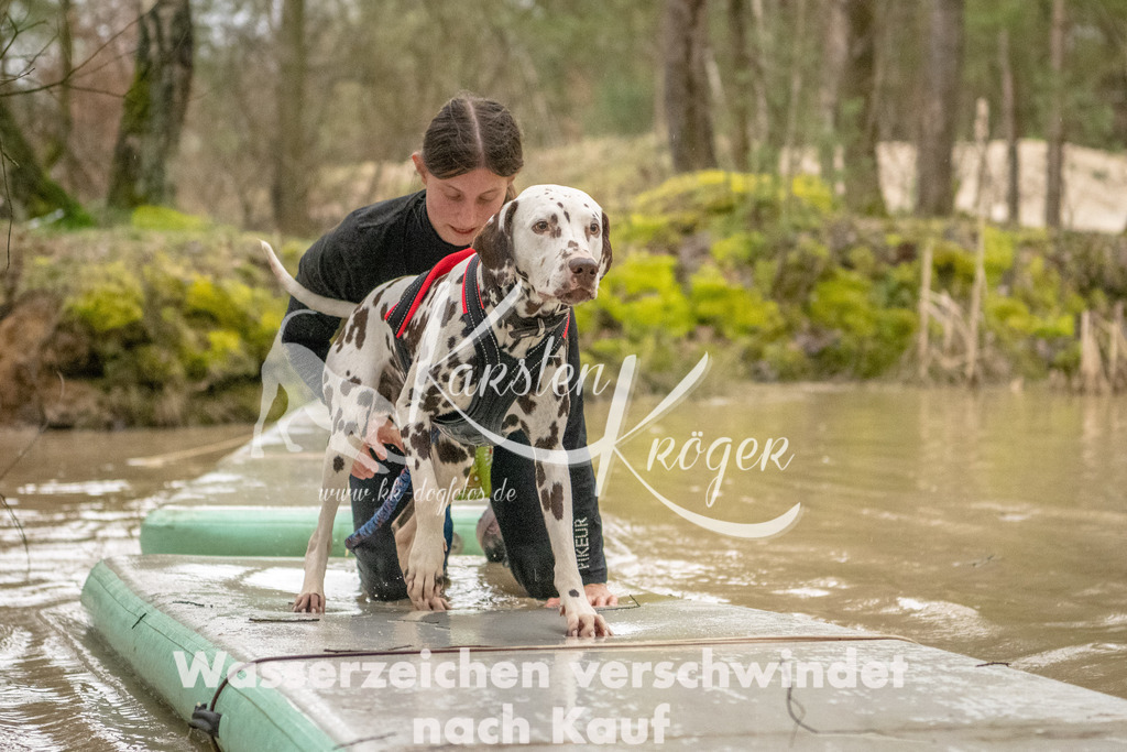 0900_ZZ90068 | kk-dogfotos
