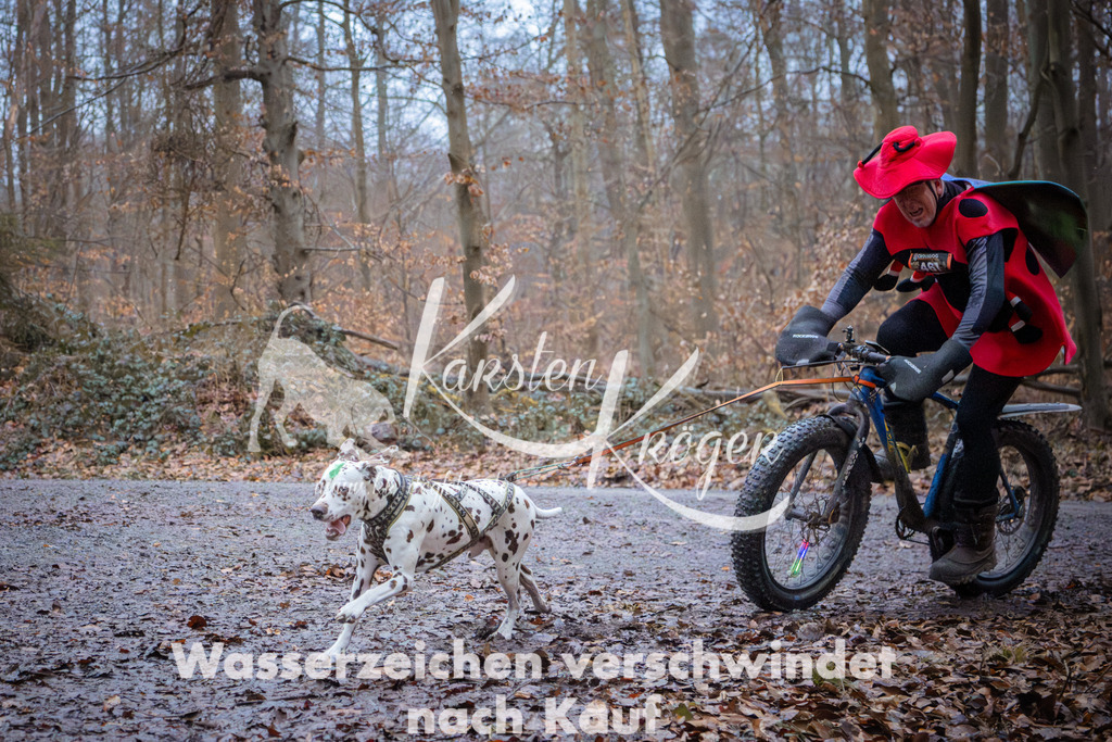 0826_ZZ94544 | kk-dogfotos