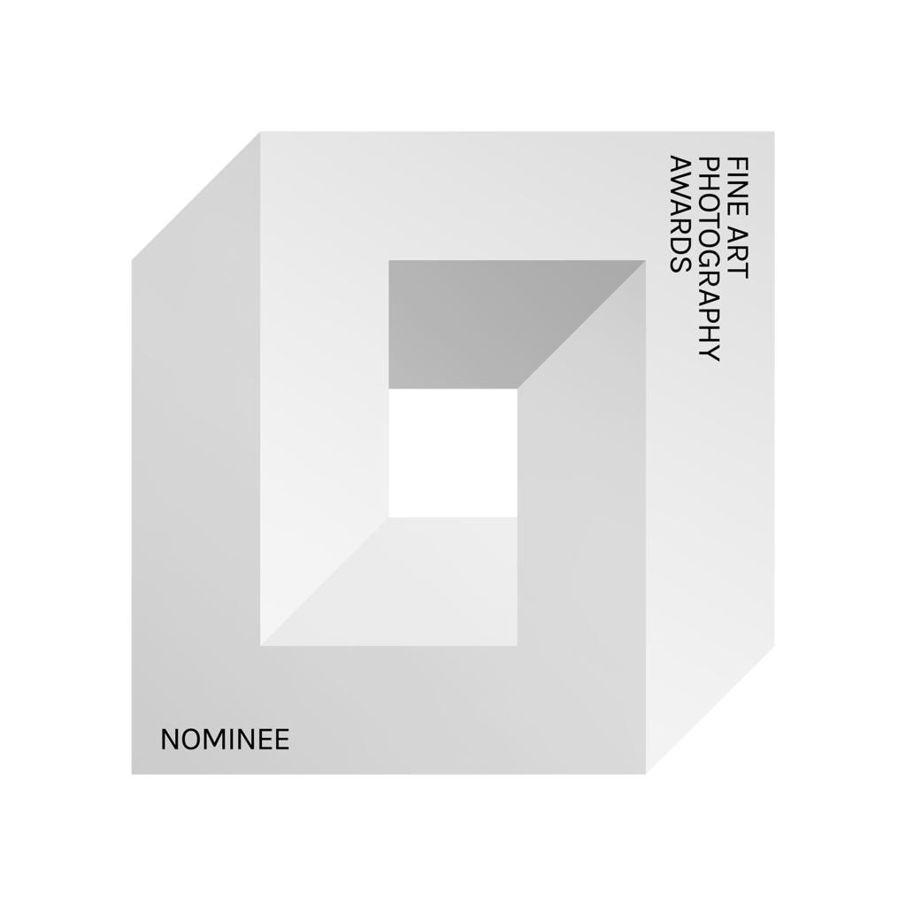 10th_fapa_nominee(1) | Art by Birgit Fotografie