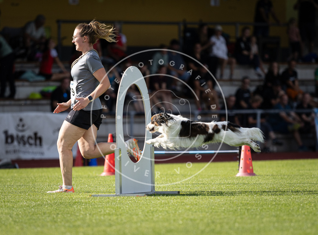 Pfotenfotografie_DV3A2254 | Hundefotografie, Tierfotograf, Pfotenfotografie, Fotoshooting Hund, Hunde Portrait, Hundesport, Hundeportraits, Heideshooting, Hunde, Sportfotograf, Hundefotograf, Turnierhundsport, THS,  - Realisiert mit Pictrs.com