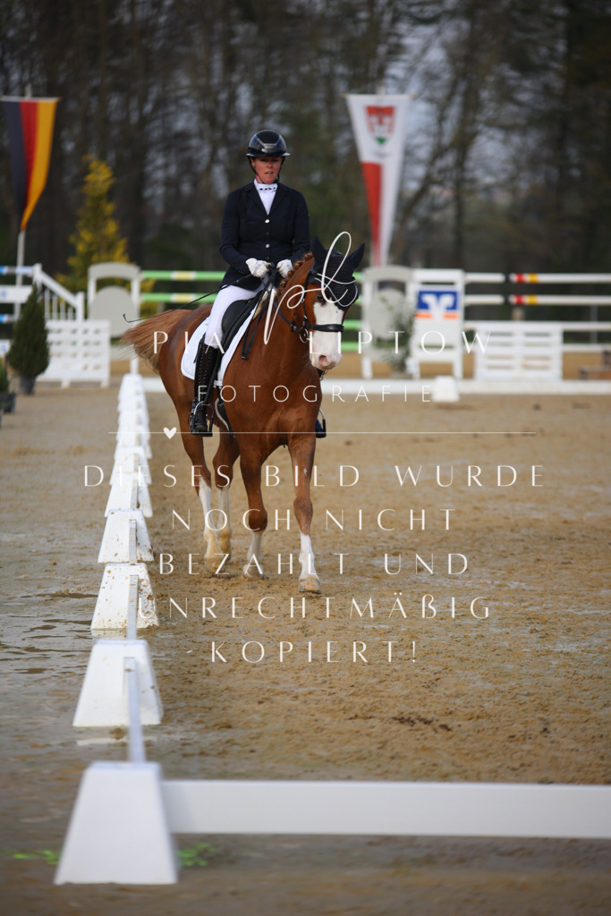 IMGT8410 | pl-fotografie