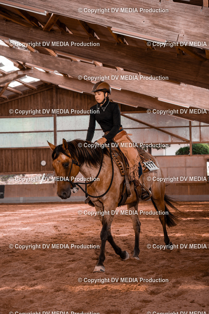 NE200536 | dv-media-shop - Realisiert mit Pictrs.com