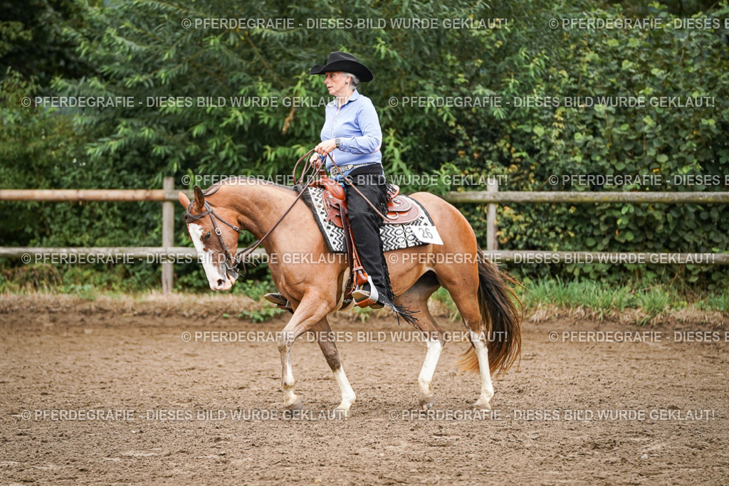 DSC02619 | Pferdegrafie