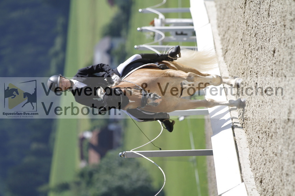 _MG_6178 | equestrian-live-com