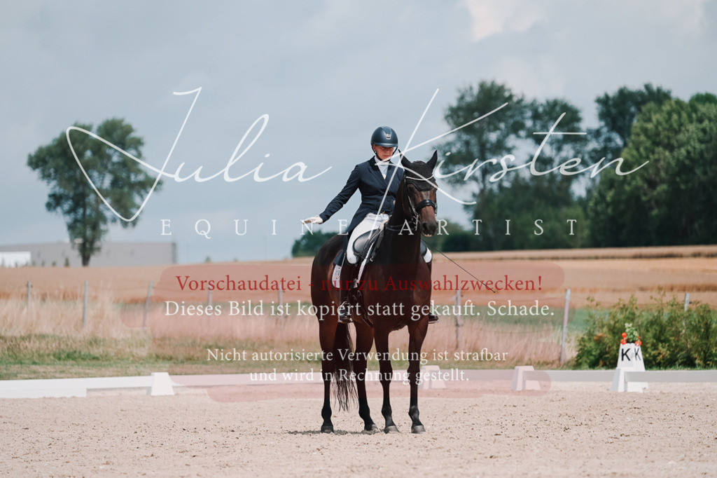 DSC_4321-2 | Pferde- und Turnierfotografie in Westsachsen. Pferdeportraits, Auftragszeichnungen und intuitive Kunst.