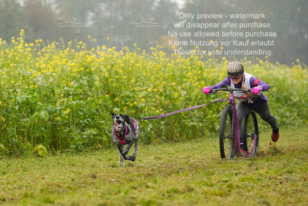 Visbeck_Sa_Scooter_Hc-39 | stephaniefillaphotographie - Realisiert mit Pictrs.com