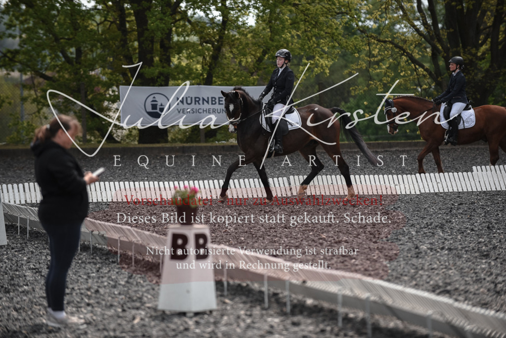 20230513_JK-Röhrsdorf-14-959 | Pferde- und Turnierfotografie in Westsachsen. Pferdeportraits, Auftragszeichnungen und intuitive Kunst.