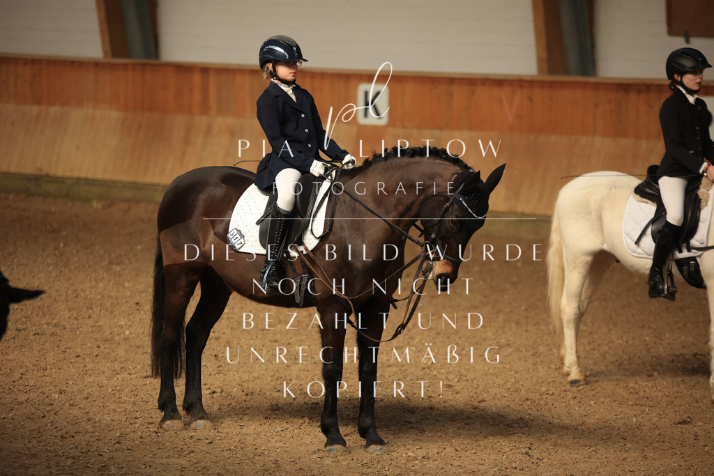 IMGT5594 | pl-fotografie