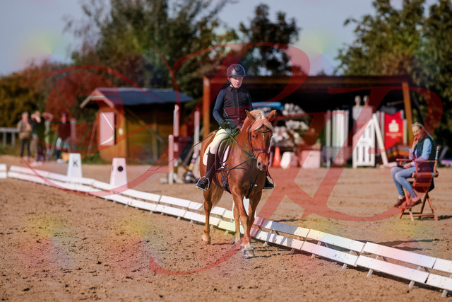 2026_10_03_Siefer-Hof_120321_Z81_04822623 | Professionelle Reitsport-, Turnier- und Eventfotografie von Robert Broda. Galerien mit ausgewählten und bearbeiteten Bildern direkt online ansehen und bestellen.
