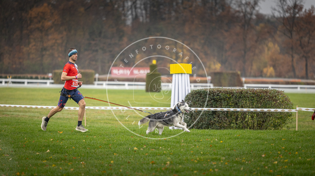 CaniXpix_DV3A9528 | Hundefotografie, Tierfotograf, Pfotenfotografie, Fotoshooting Hund, Hunde Portrait, Hundesport, Hundeportraits, Heideshooting, Hunde, Sportfotograf, Hundefotograf, Turnierhundsport, THS,  - Realisiert mit Pictrs.com