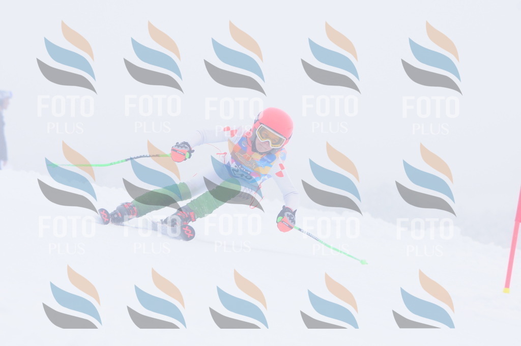 C2542 | holidayphoto