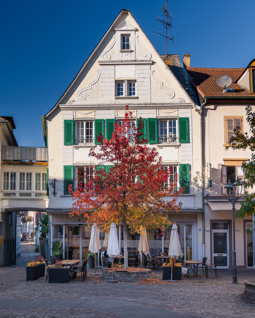 DSC_0536-HDR | renerovisanfotoart.com