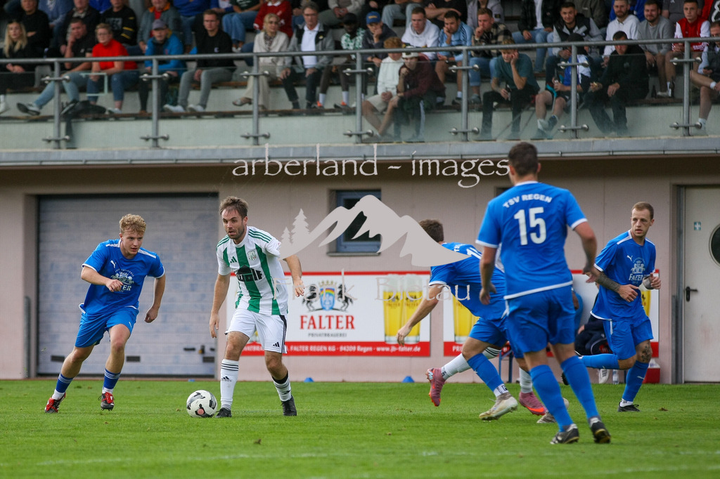 993T2898 | Medien- Sport- Entertainmentfotos