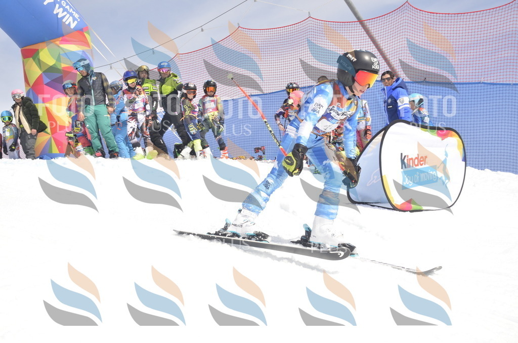 _ELE8617 | holidayphoto