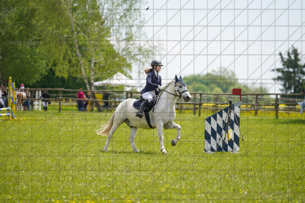 20230521-FAH06269 | Frühjahrsturnier, Landsberg am Lech, 2023, Reitclub Landsberg, Turnierbilder, Fotos Turnier Landsberg, Fotoagentur Herrmann, Turnierfotografen Bayern, Reitsport Fotograf, Pferde Fotograf