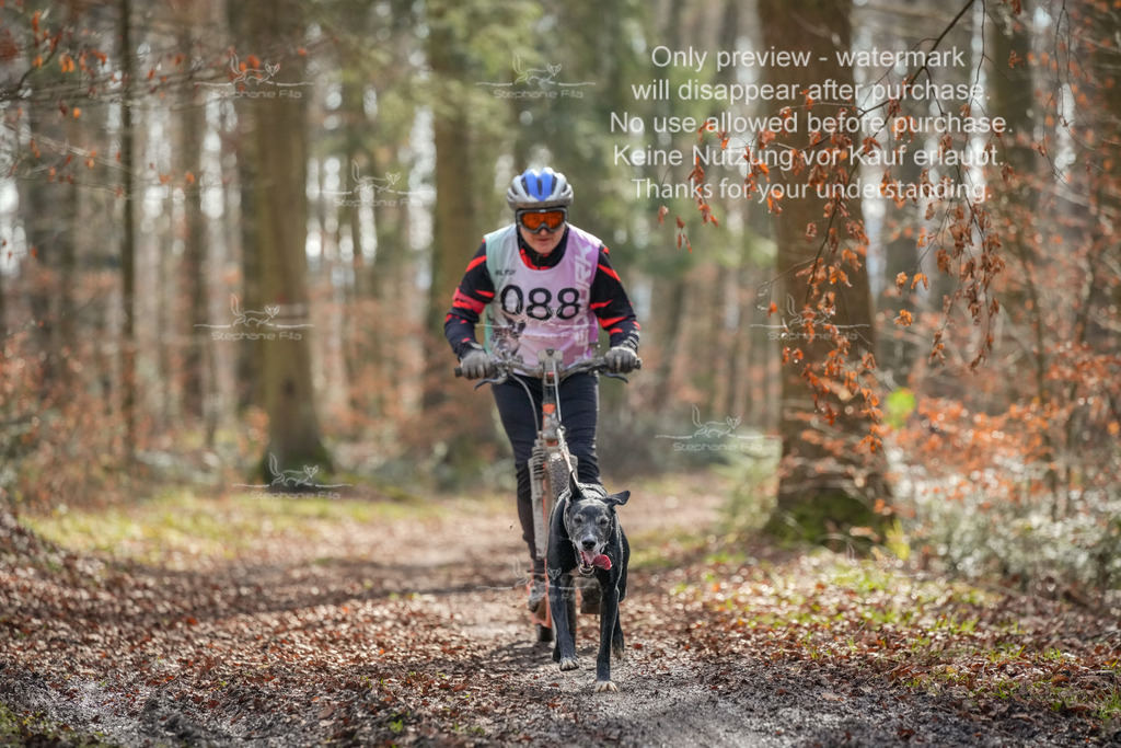 So_Scooter1-76 | stephaniefillaphotographie - Realisiert mit Pictrs.com