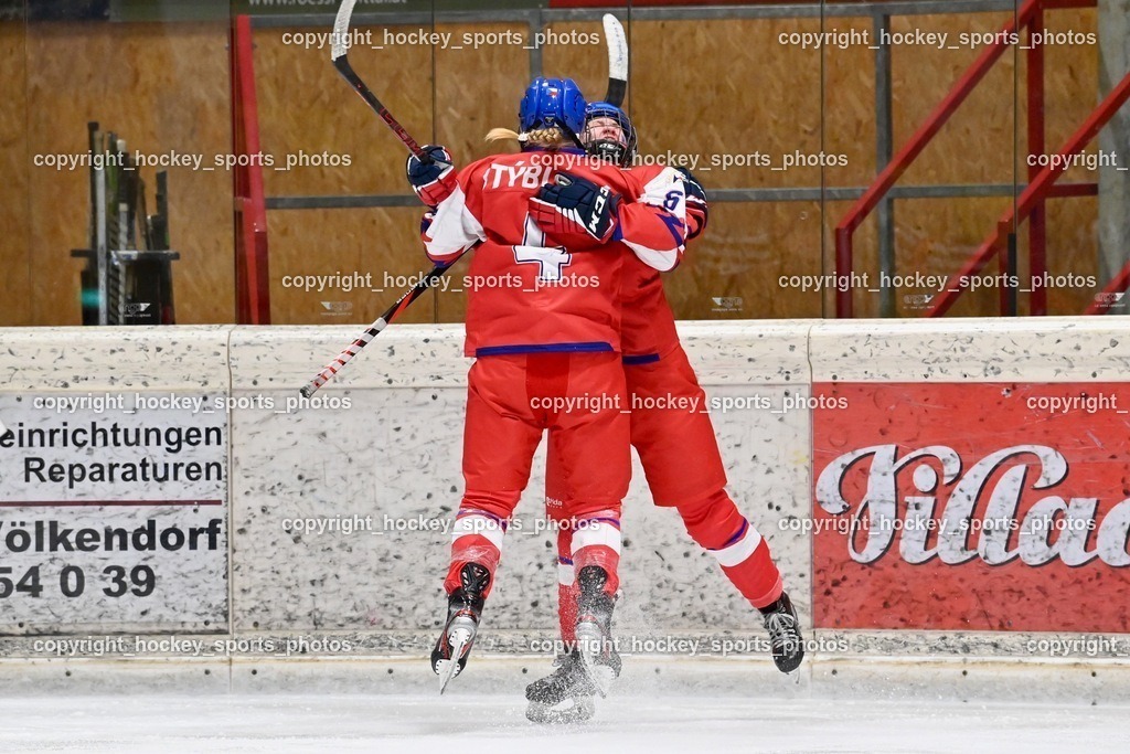 BST_5800 | hockey sports photos, Pressefotos, Sportfotos, hockey247, win 2day icehockeyleague, Handball Austria, Floorball Austria, ÖVV, Kärntner Eishockeyverband, KEHV, KFV, Kärntner Fussballverband, Österreichischer Volleyballverband, Alps Hockey League, ÖFB, 