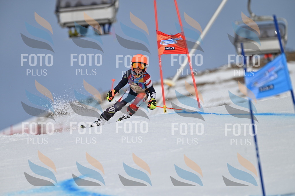 BGV_3480 | holidayphoto