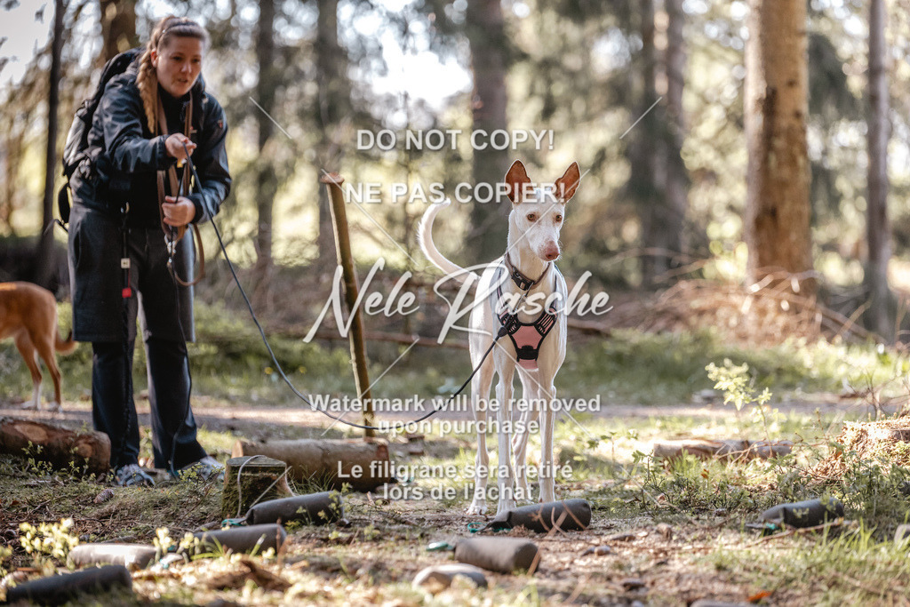 6Z1A0837 | nelerasche
