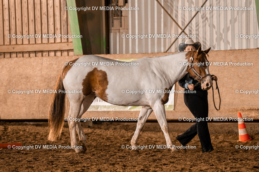 BAL01292 | dv-media-shop - Realisiert mit Pictrs.com