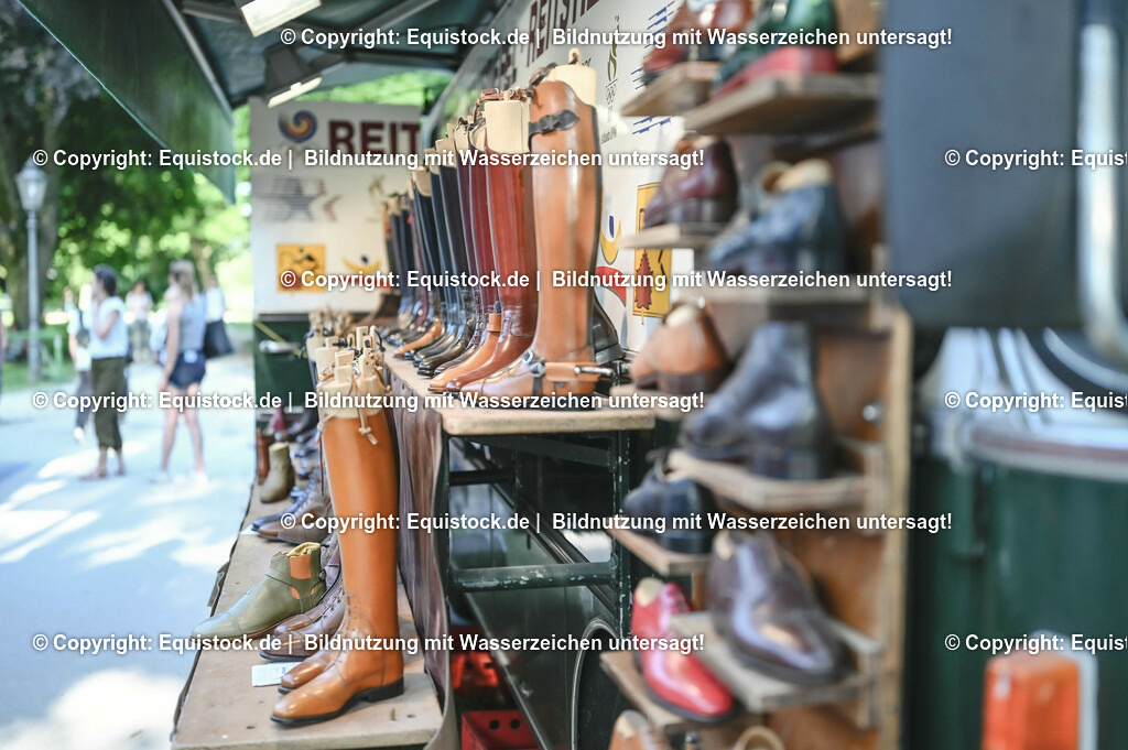 D78_3755 | equistock