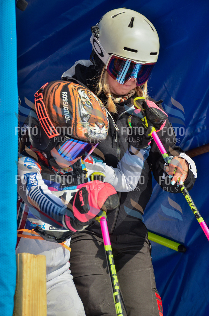 _ELE4672 | holidayphoto