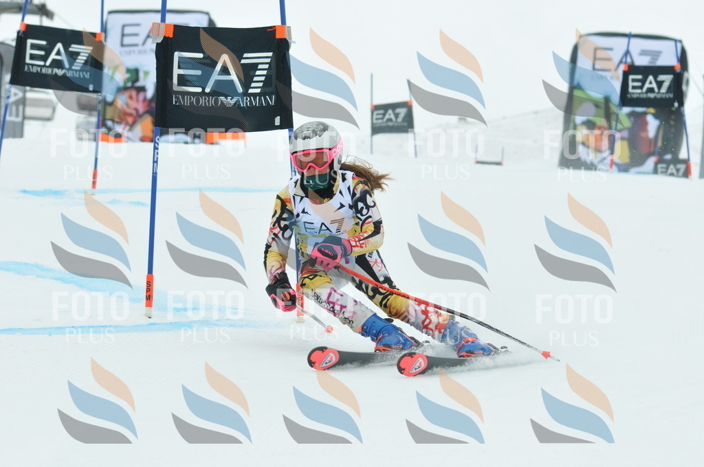 DSC_8075 | holidayphoto