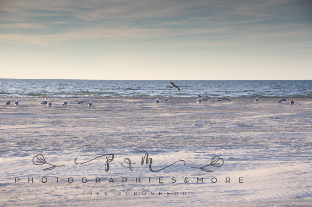 _WhiteStrand2022-1010 | Photographies and more - Realisiert mit Pictrs.com