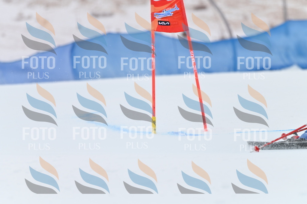 BGV_9357 | holidayphoto