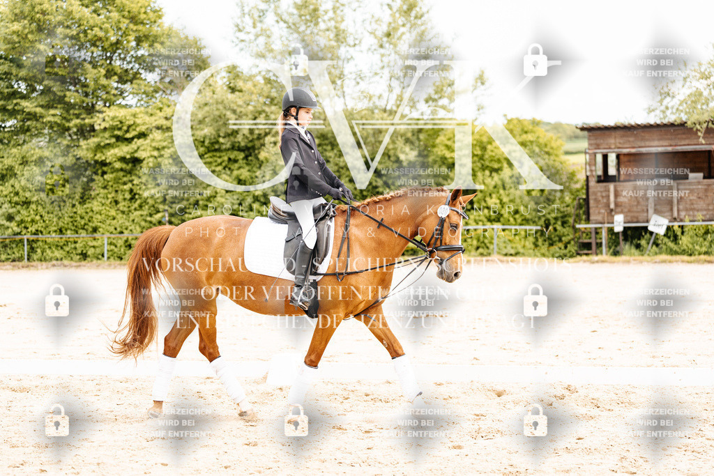 CK904436 | Turnierfotografie Pferdefotografie Trier Rheinland-Pfalz Pferdesport Reitsport Tierfotografie Sportfotografie Pferdevideo Pferdevideografie Equestrianvideography equestrianphotography  - Realisiert mit Pictrs.com