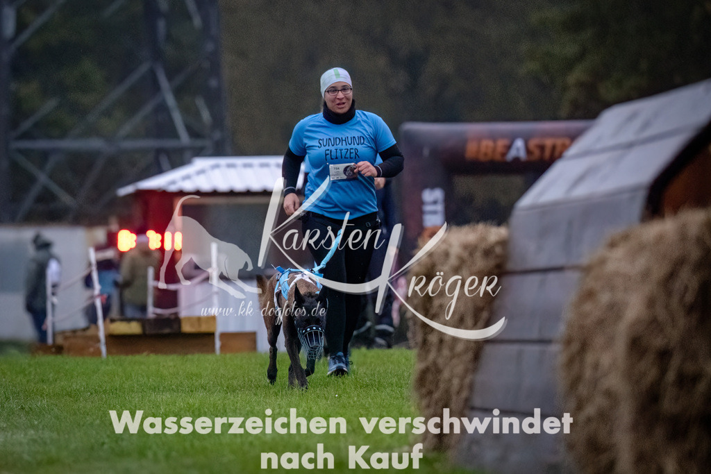 0811-_ZZ90596-Bearbeitet-Bearbeitet | kk-dogfotos