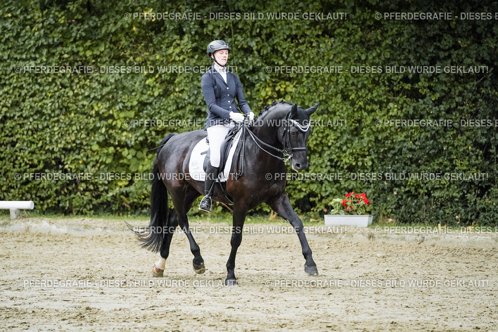 DSC00082 | Pferdegrafie