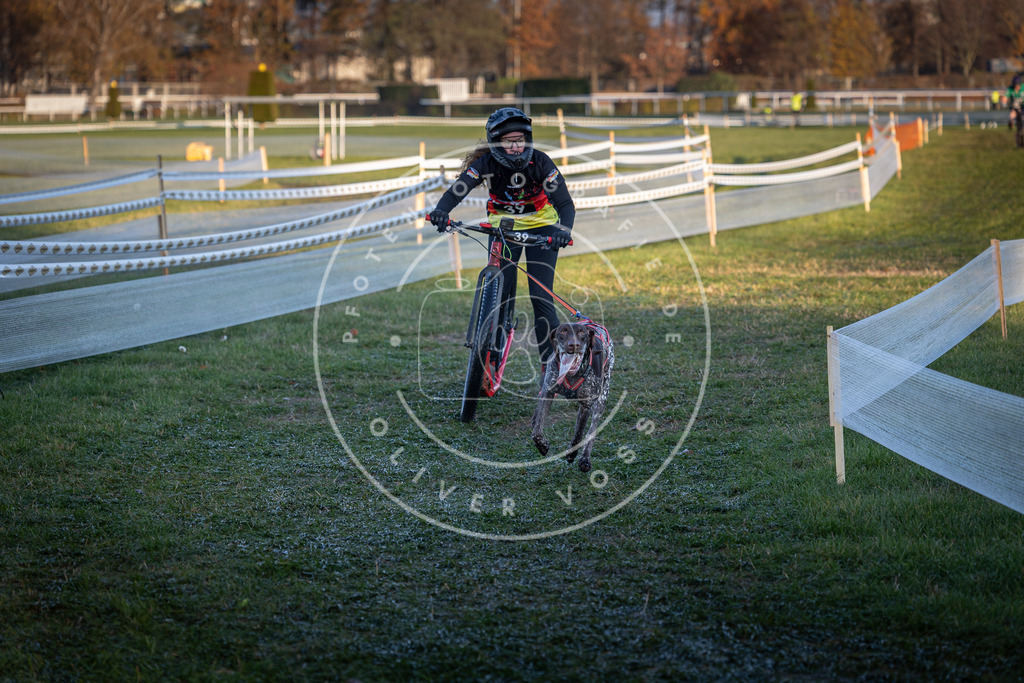 CaniXpix_0L8A2332 | Hundefotografie, Tierfotograf, Pfotenfotografie, Fotoshooting Hund, Hunde Portrait, Hundesport, Hundeportraits, Heideshooting, Hunde, Sportfotograf, Hundefotograf, Turnierhundsport, THS,  - Realisiert mit Pictrs.com