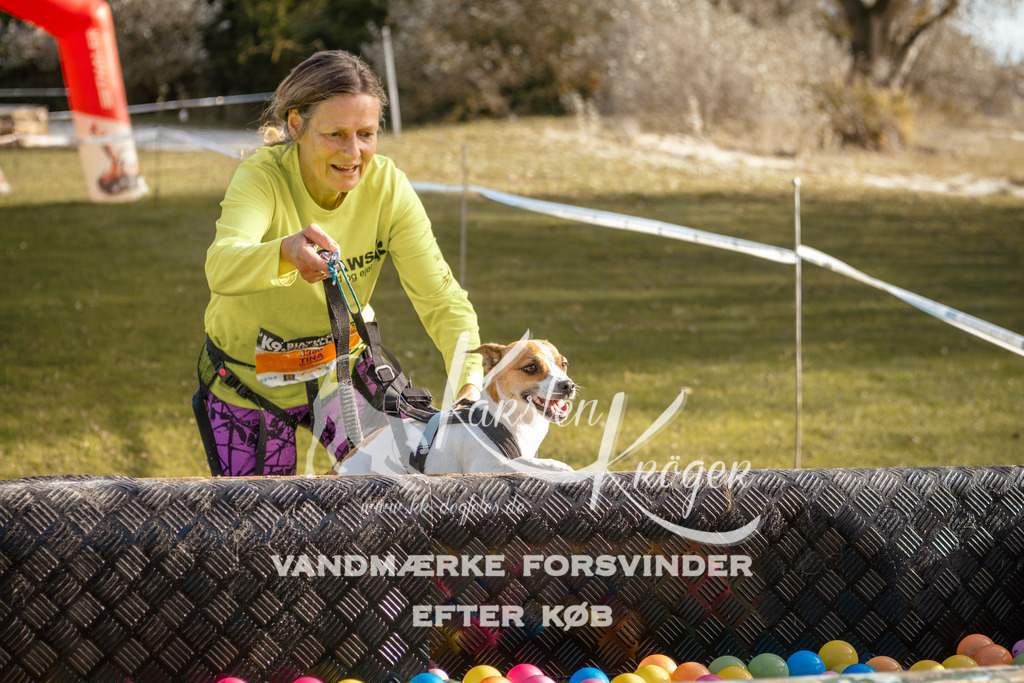 1503_ZZ95765 | kk-dogfotos