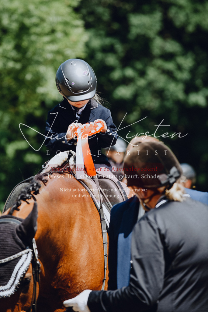 DSC_2649 | Pferde- und Turnierfotografie in Westsachsen. Pferdeportraits, Auftragszeichnungen und intuitive Kunst.