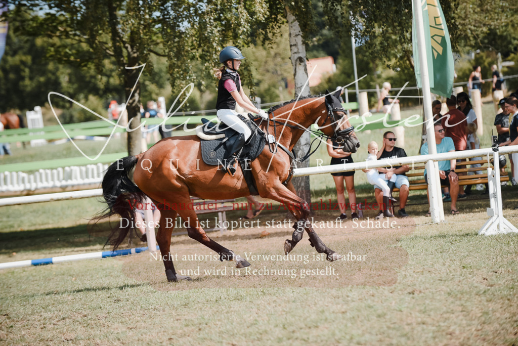 DSC_5401 | Pferde- und Turnierfotografie in Westsachsen. Pferdeportraits, Auftragszeichnungen und intuitive Kunst.