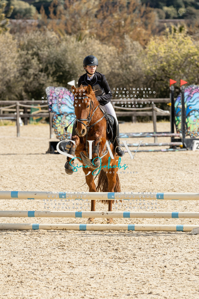 IMG_4326 | s-jay-photography - Realisiert mit Pictrs.com