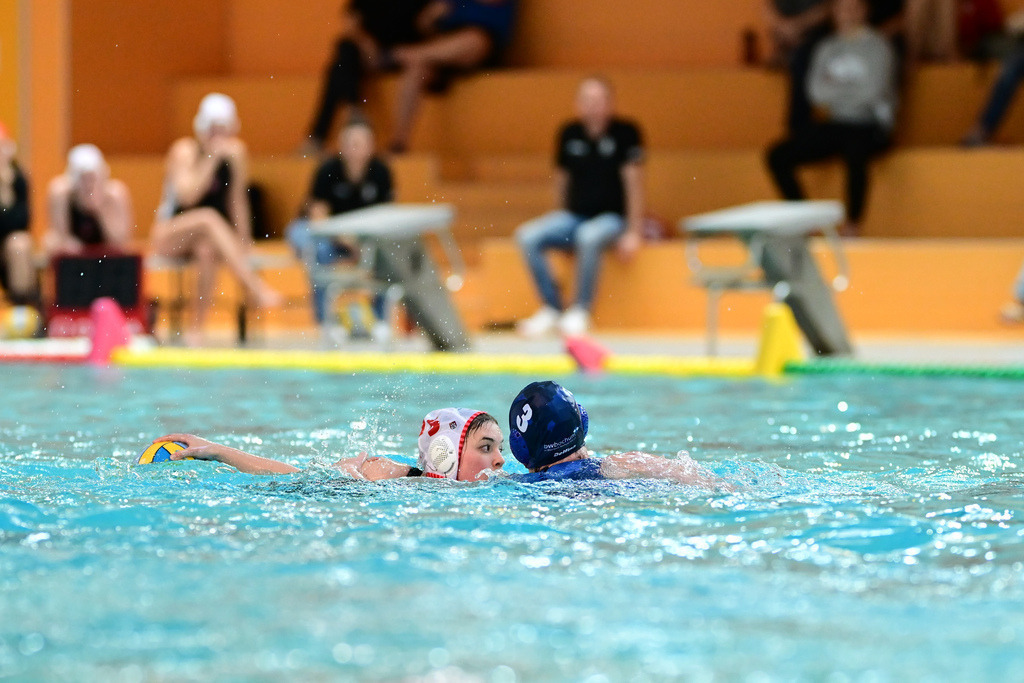 Wasserball I Frauen I Saison 2024-2025 I Bundesliga I 9. Spieltag I Eimsbütteler TV - SV Blau-Weiß Bochum | Der Sportfotograf. - Realisiert mit Pictrs.com