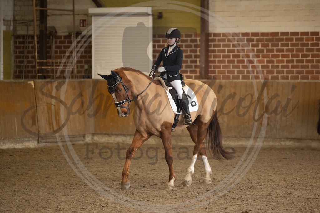 994A8867 | sabrinanicolaifotografie - Realisiert mit Pictrs.com