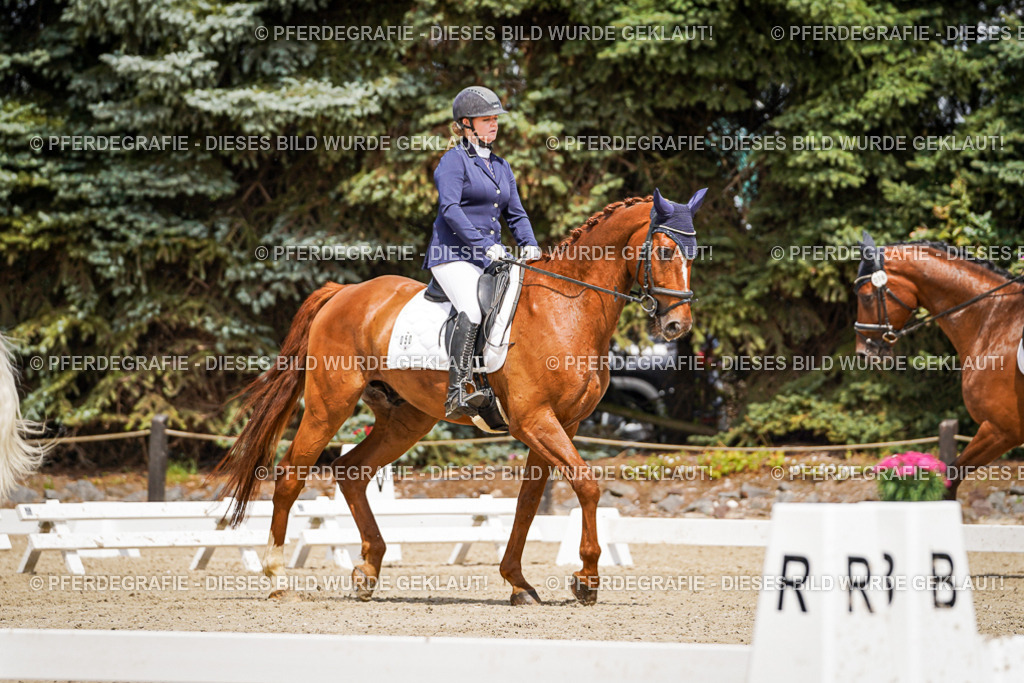 DSC02247 | Pferdegrafie