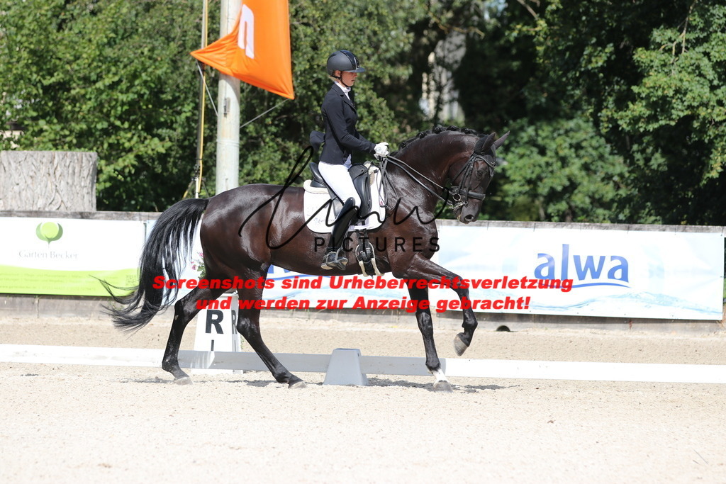 IMG_5309 | lmwpictures - Realisiert mit Pictrs.com