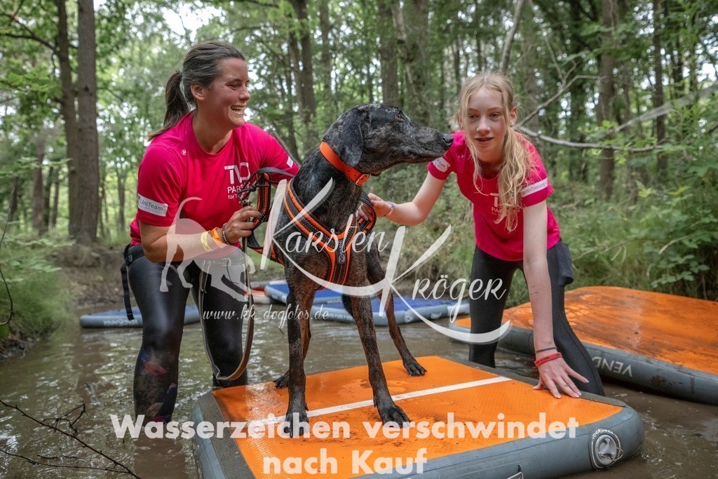 0902_ZZ90118T | kk-dogfotos