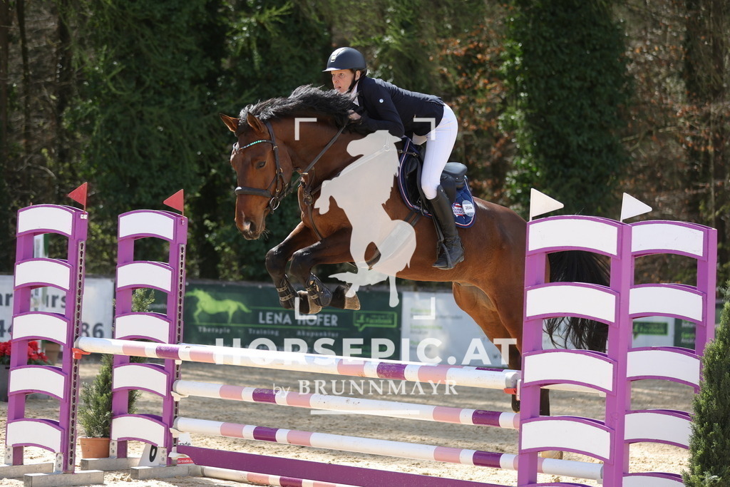 0P6A9479 | Willkommen bei Brunnmayr - Design & Fotografie – Ihrem Spezialisten für Reitturniere und Pferdeveranstaltungen in Oberösterreich, Salzburg und Bayern! Seit über 17 Jahren sind wir leidenschaftlich dabei.