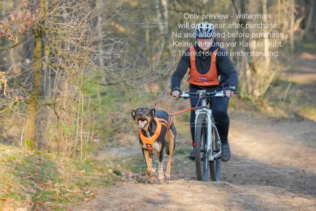 Sa_Bike-382 | stephaniefillaphotographie - Realisiert mit Pictrs.com