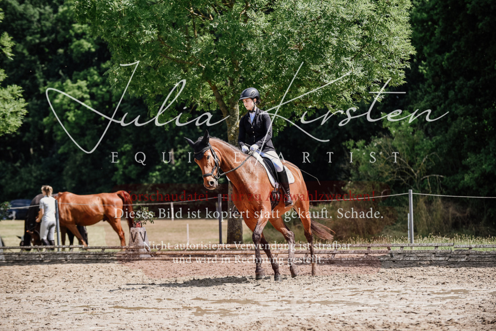 DSC_1009 | Pferde- und Turnierfotografie in Westsachsen. Pferdeportraits, Auftragszeichnungen und intuitive Kunst.